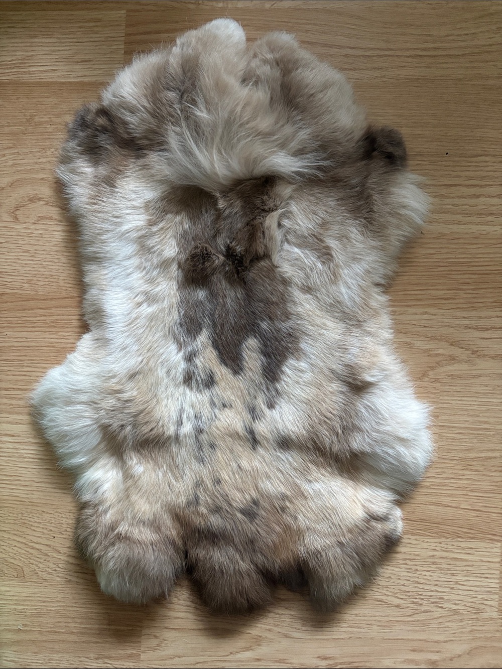 B0065 rabbit pelt crafts decor